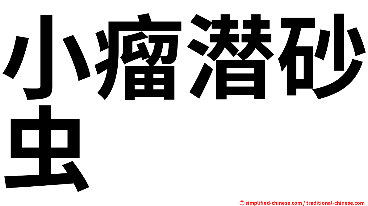 小瘤潜砂虫