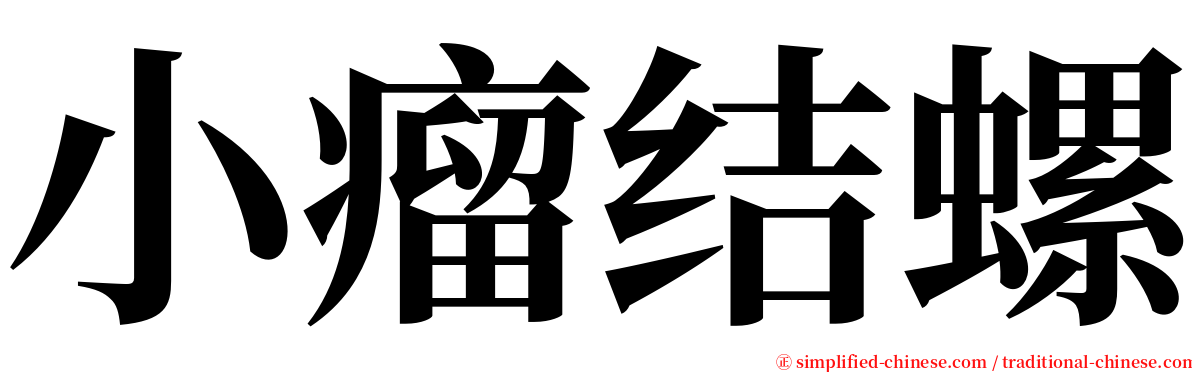小瘤结螺 serif font