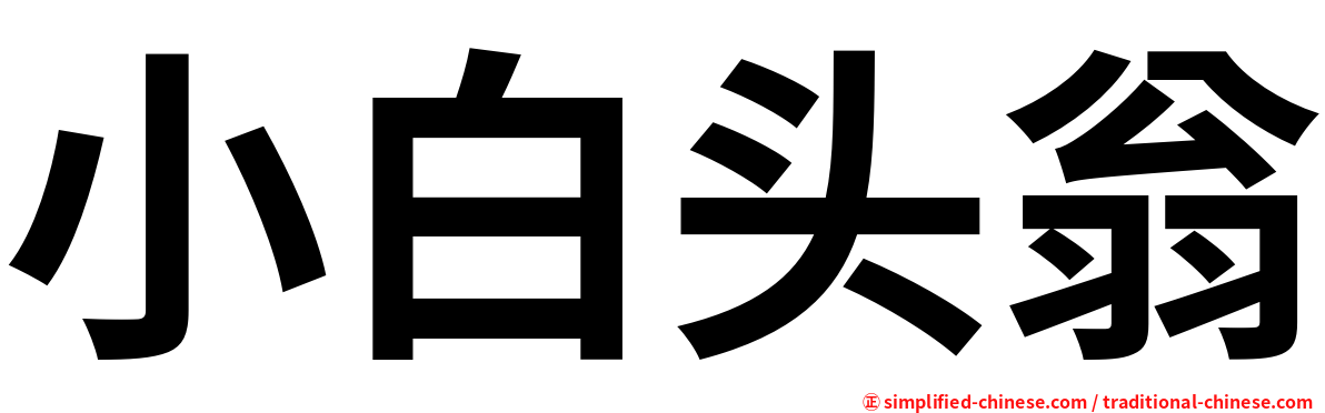 小白头翁