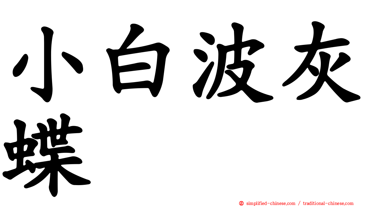 小白波灰蝶