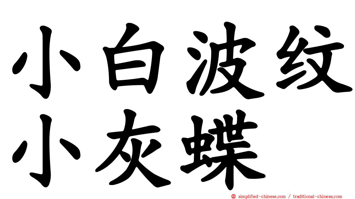 小白波纹小灰蝶