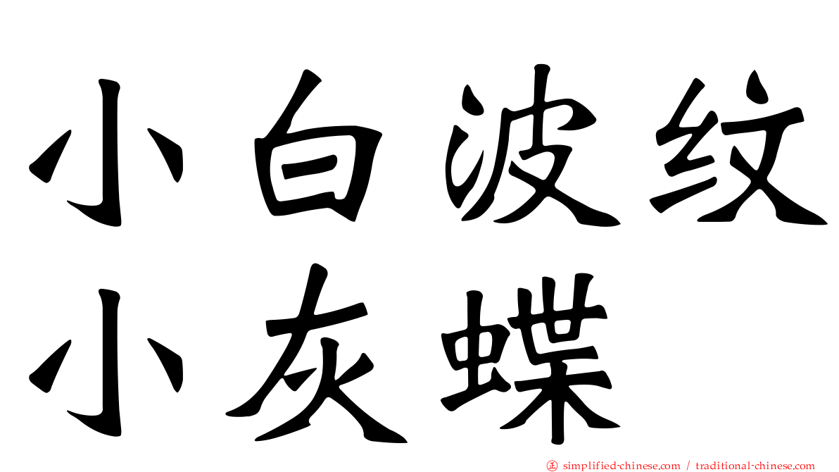小白波纹小灰蝶