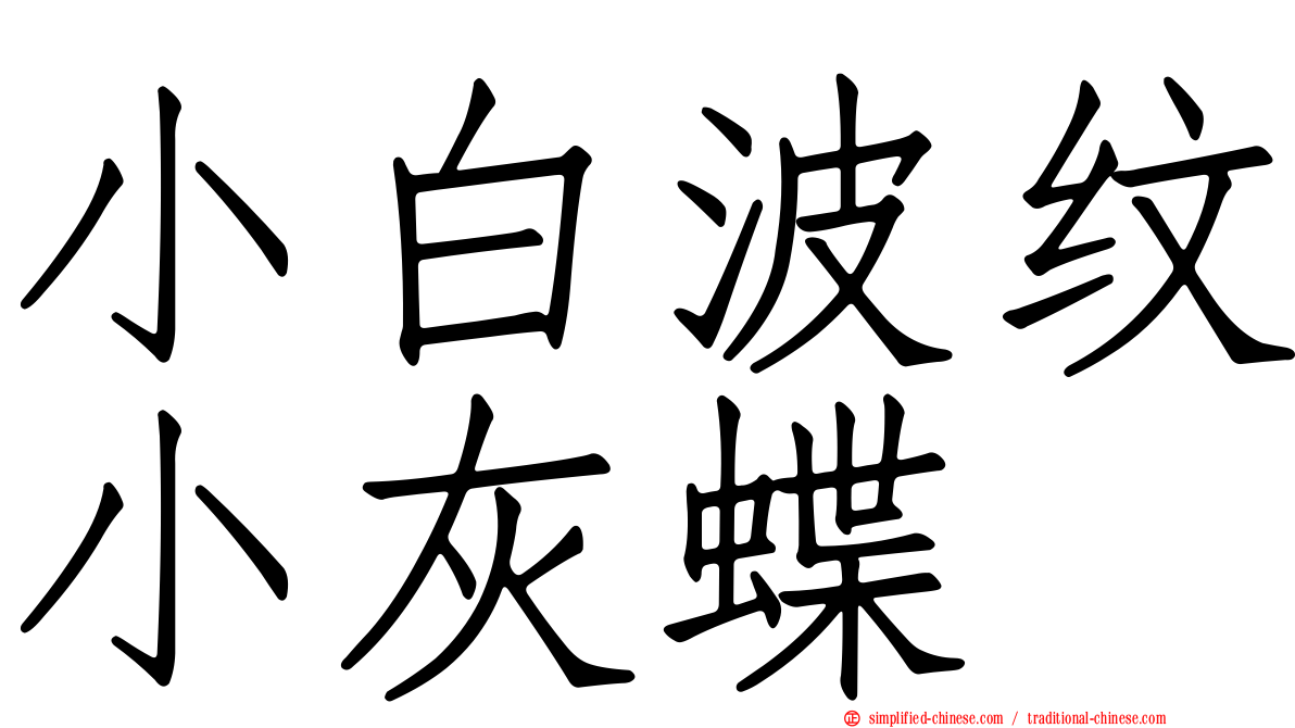 小白波纹小灰蝶