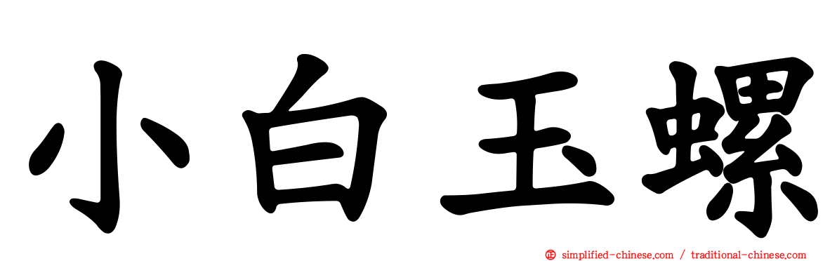 小白玉螺