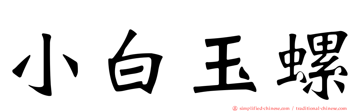 小白玉螺