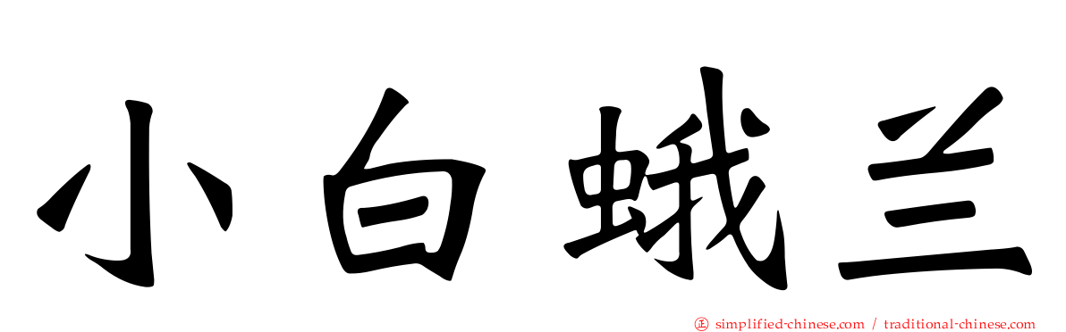 小白蛾兰