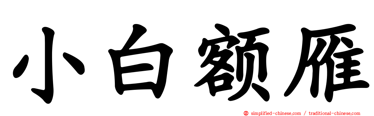 小白额雁