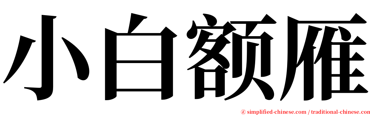 小白额雁 serif font