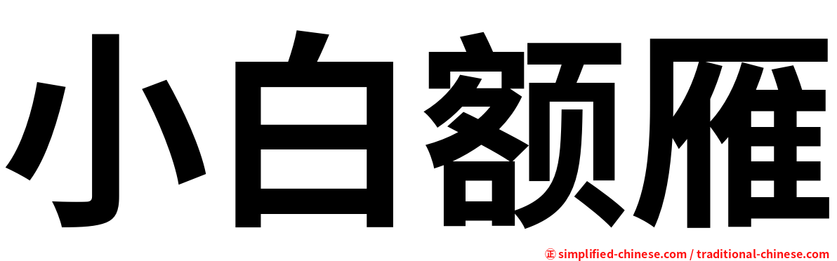 小白额雁