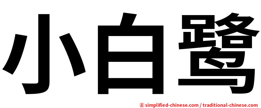 小白鹭
