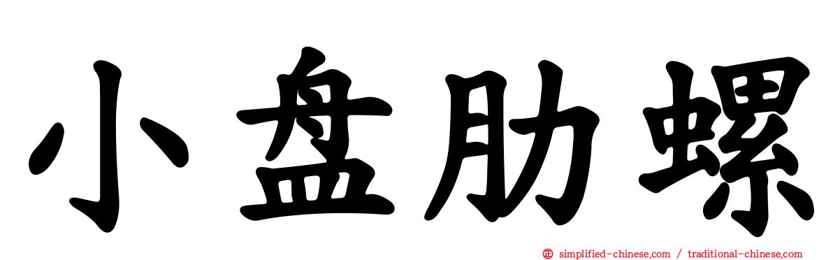 小盘肋螺