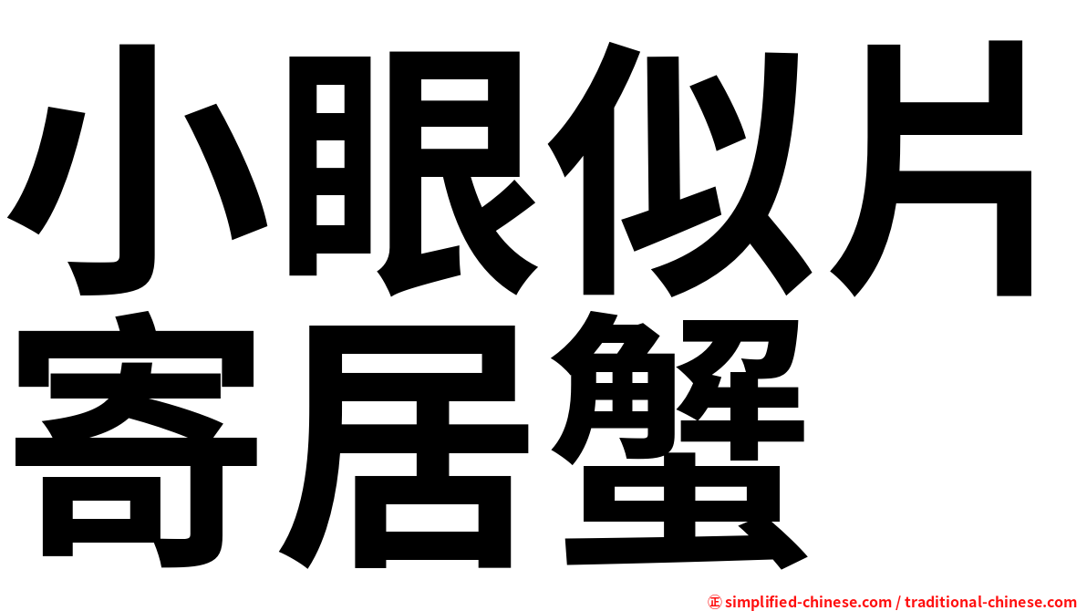 小眼似片寄居蟹