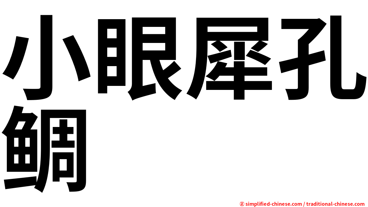 小眼犀孔鲷