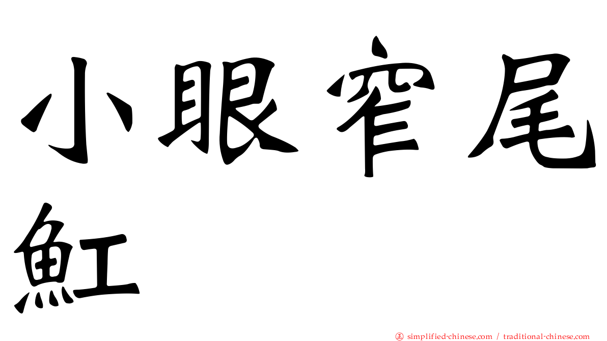 小眼窄尾𫚉