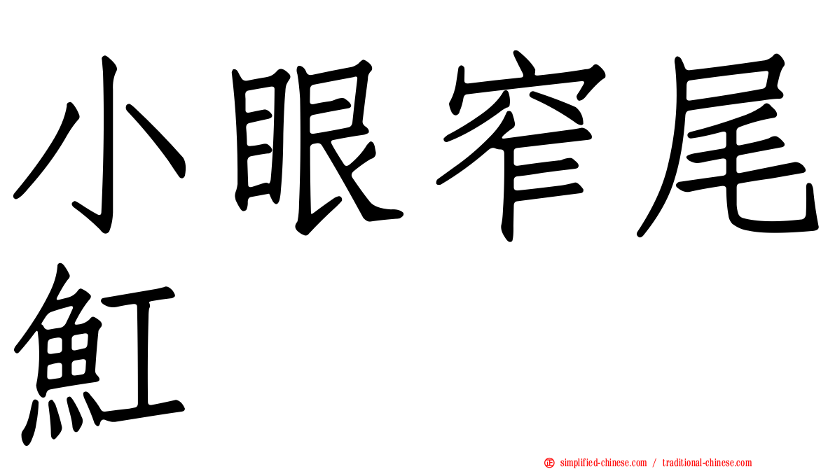 小眼窄尾𫚉