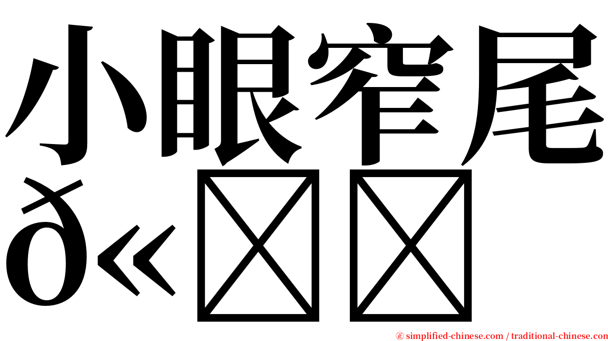 小眼窄尾𫚉 serif font