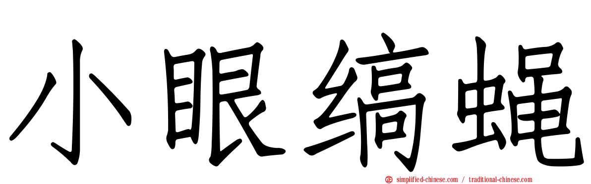 小眼缟蝇
