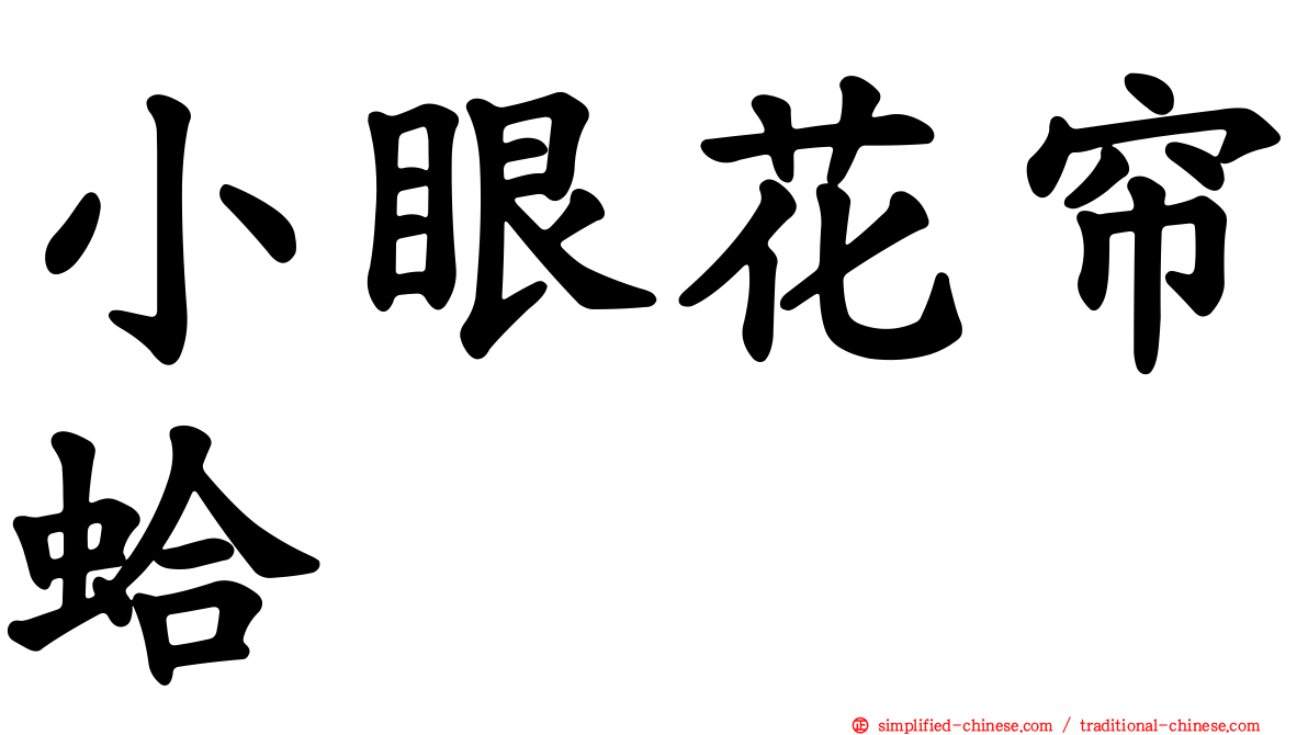 小眼花帘蛤