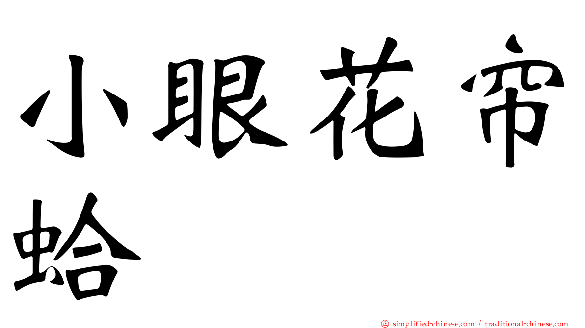 小眼花帘蛤