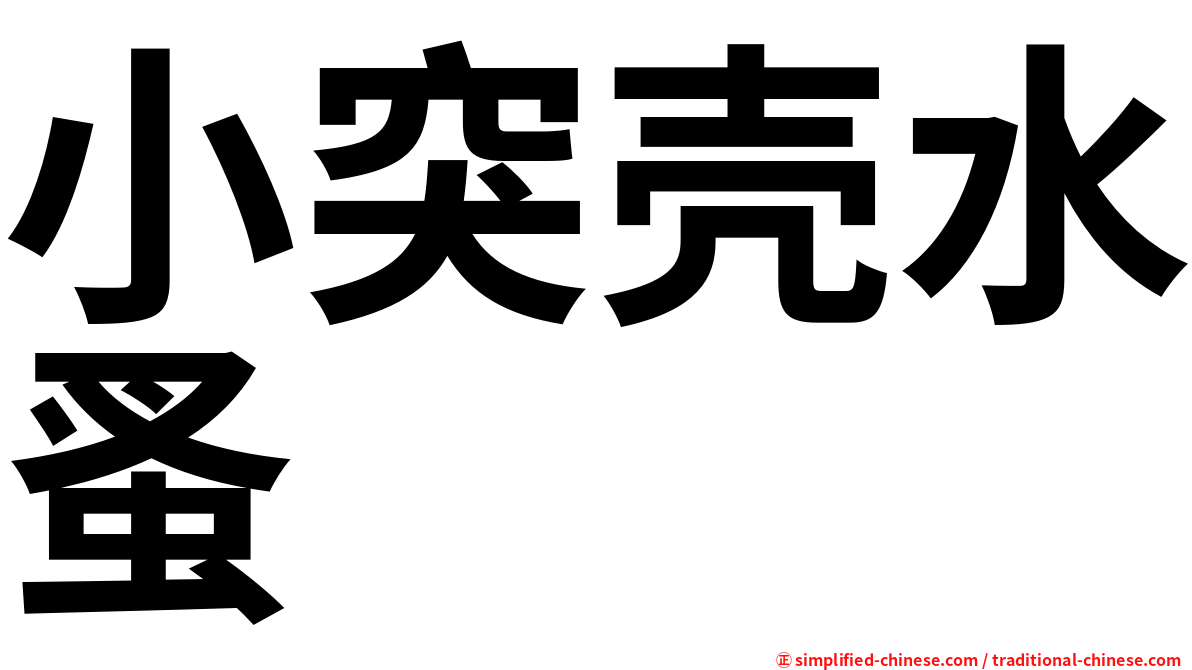 小突壳水蚤