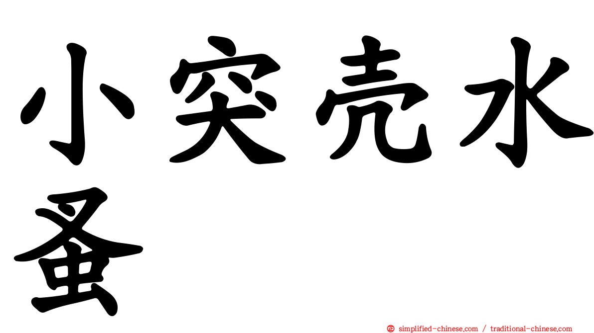 小突壳水蚤