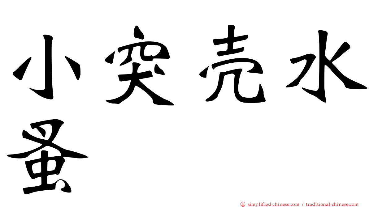 小突壳水蚤
