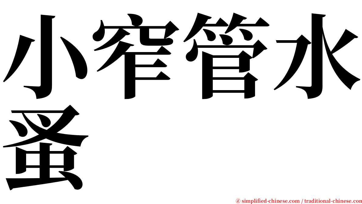 小窄管水蚤 serif font