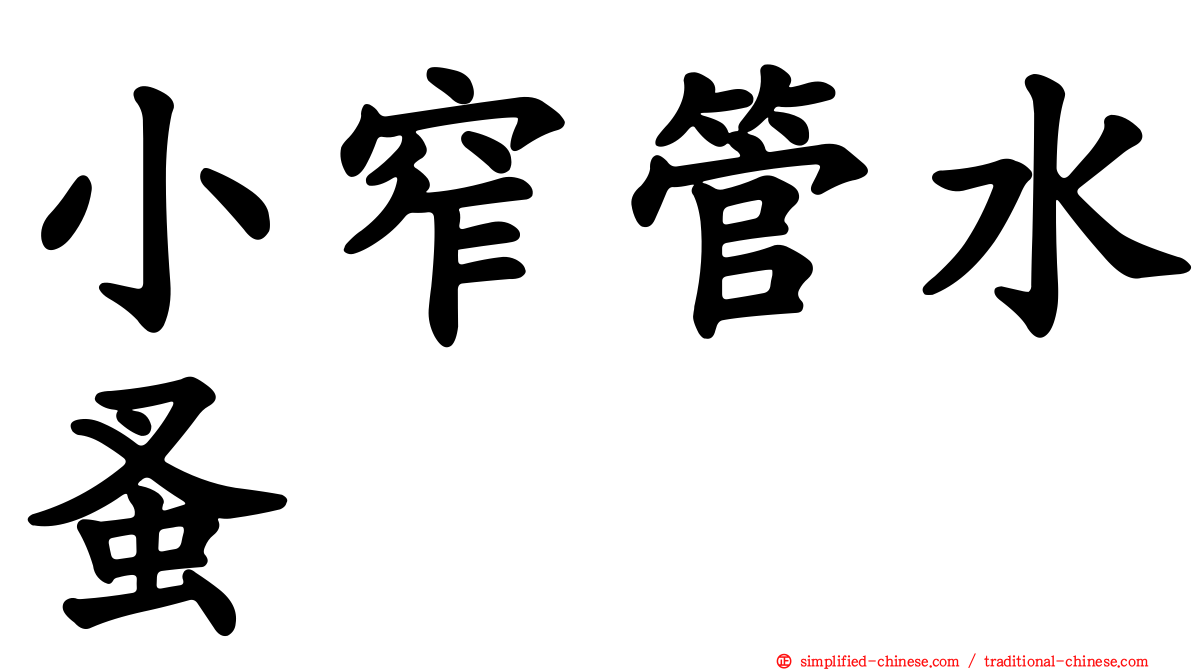 小窄管水蚤