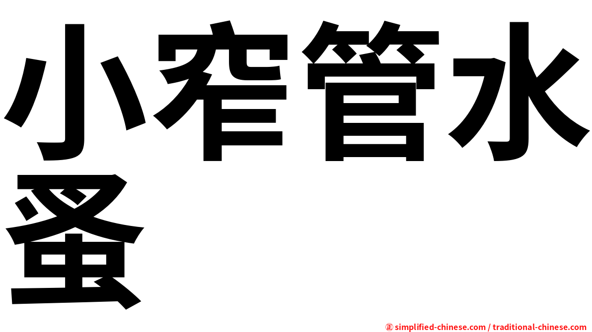 小窄管水蚤