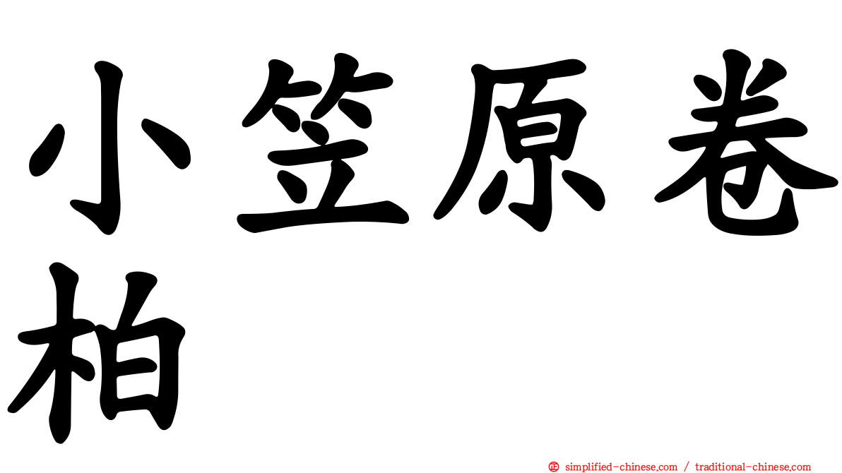 小笠原卷柏