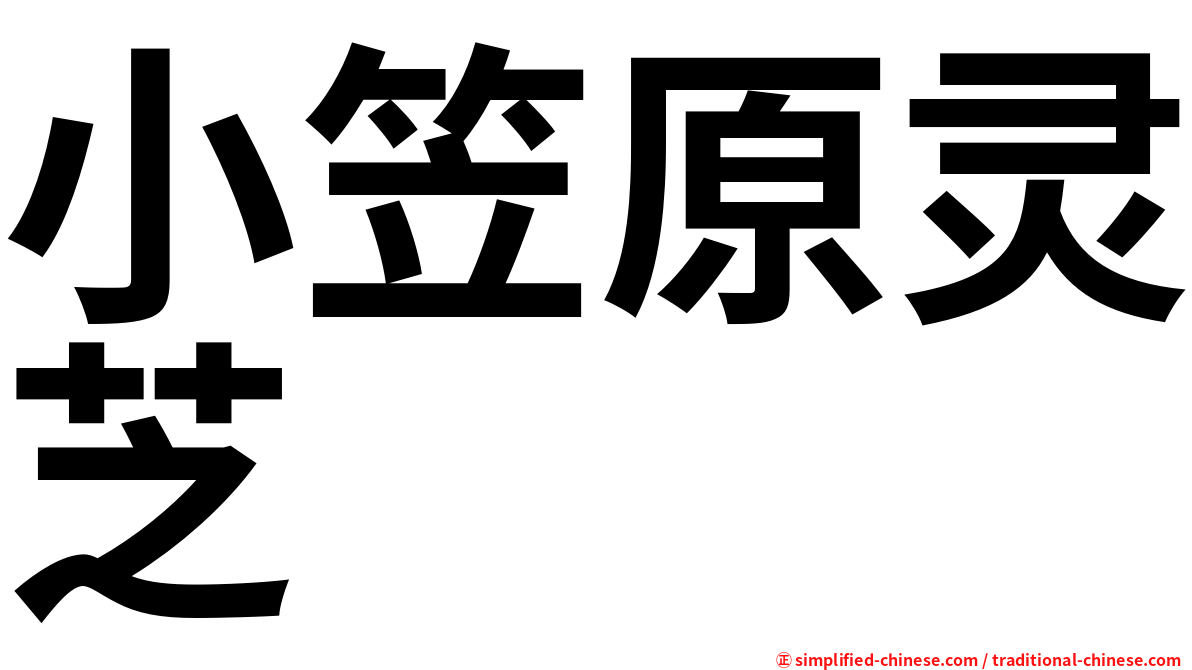 小笠原灵芝