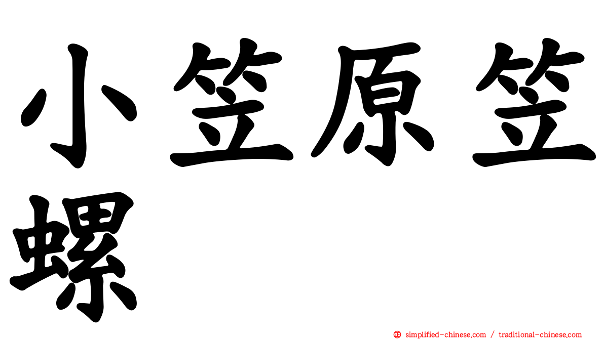 小笠原笠螺