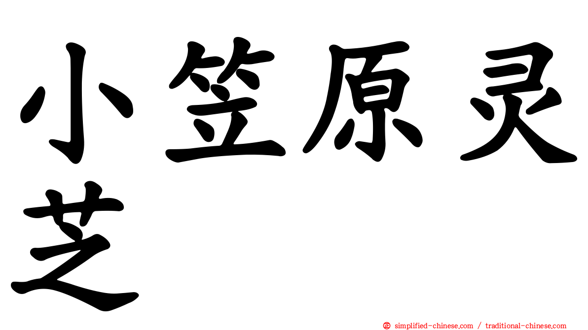 小笠原灵芝