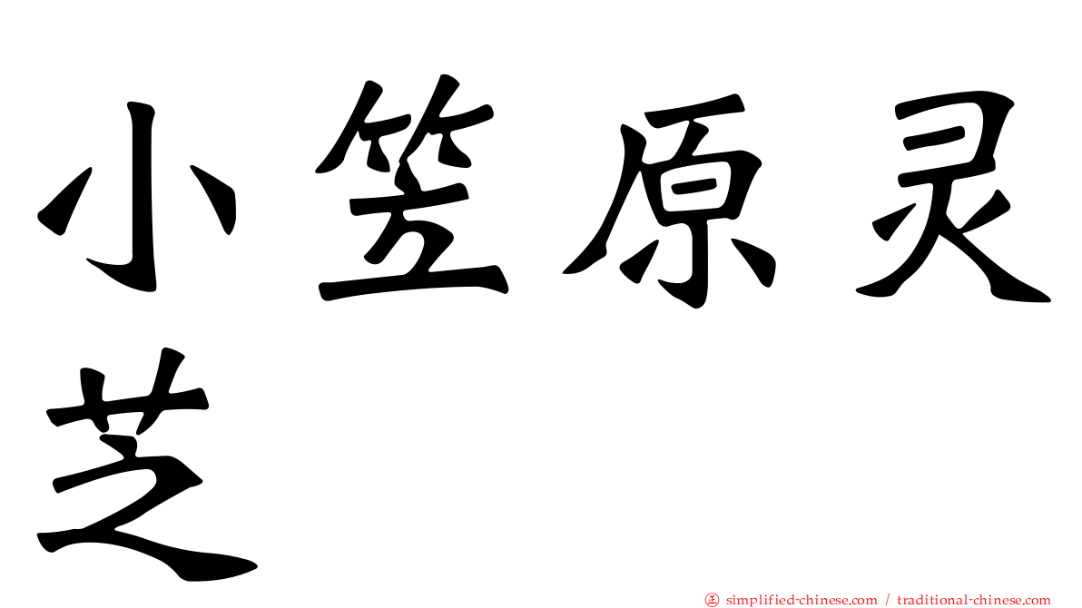 小笠原灵芝
