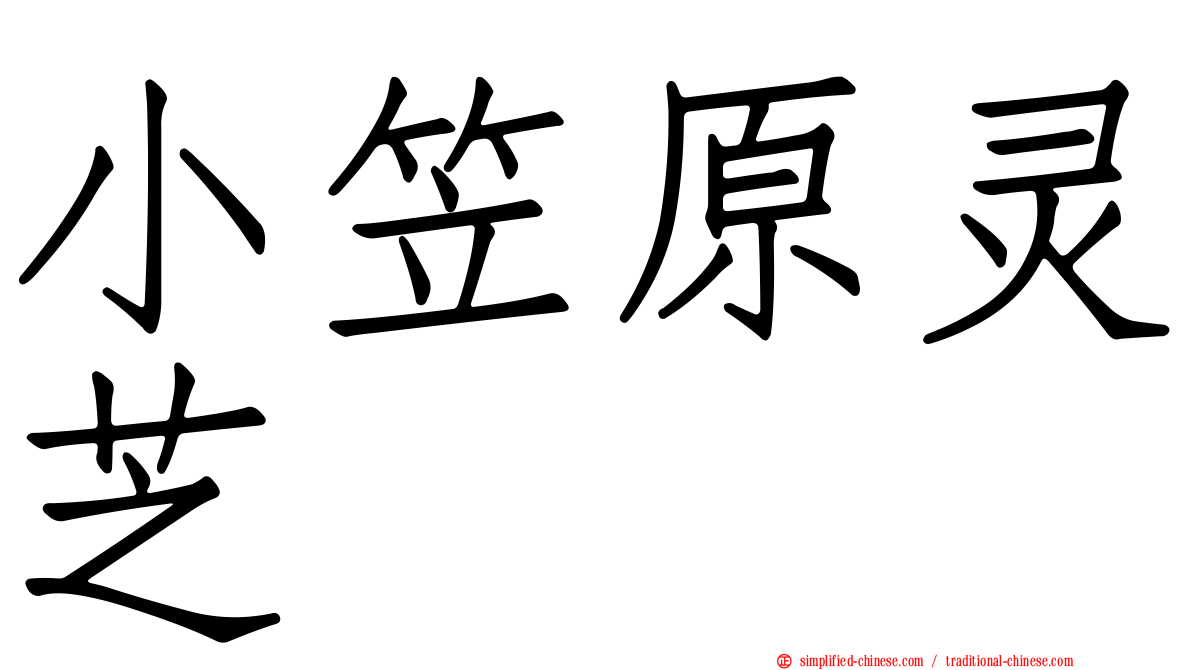 小笠原灵芝