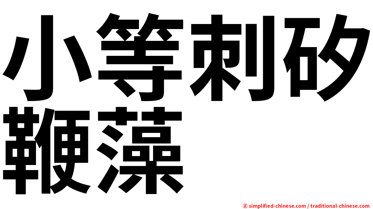 小等刺矽鞭藻