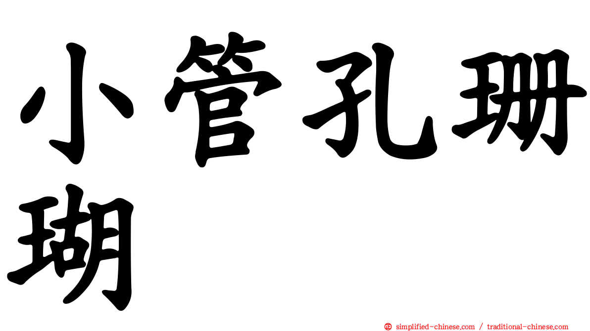 小管孔珊瑚