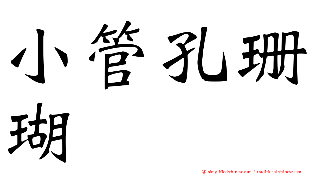 小管孔珊瑚