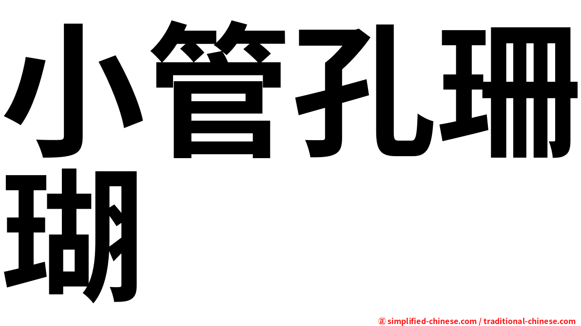 小管孔珊瑚