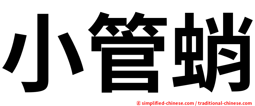 小管蛸