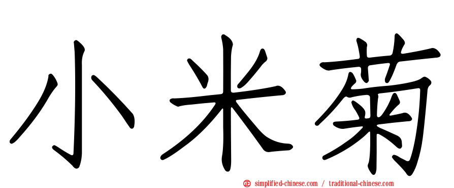小米菊