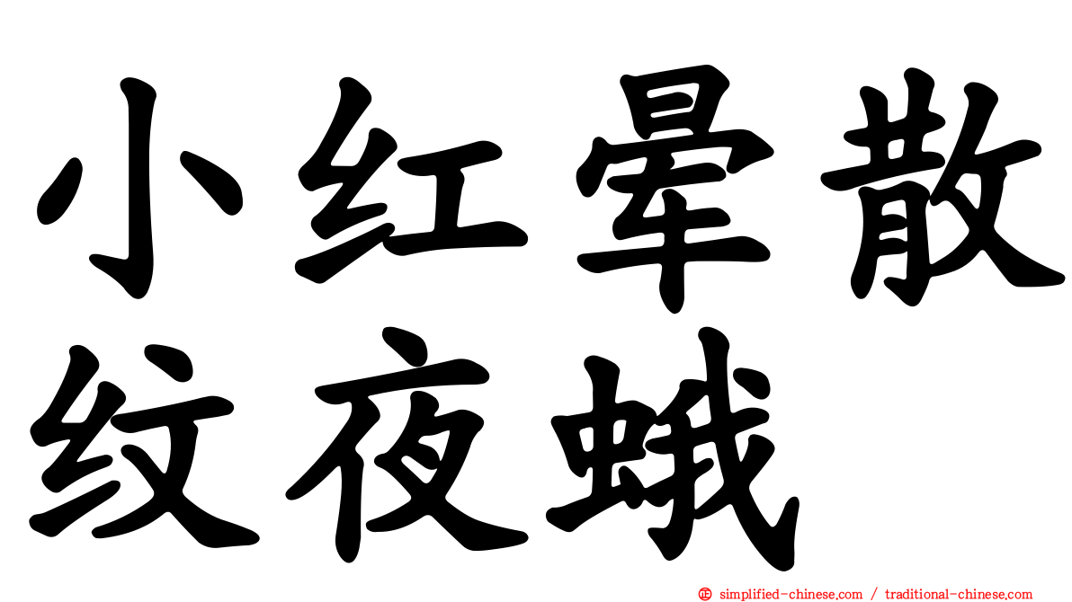 小红晕散纹夜蛾