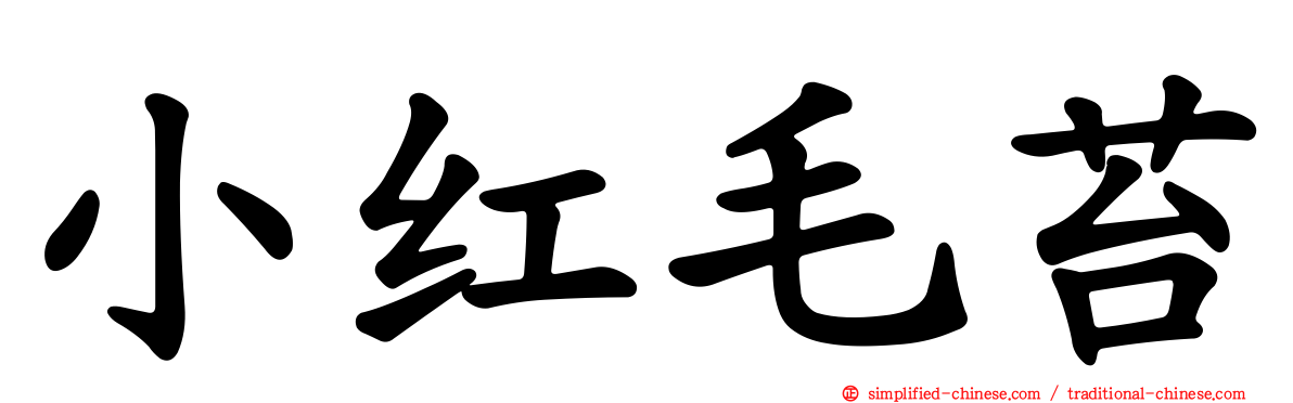 小红毛苔
