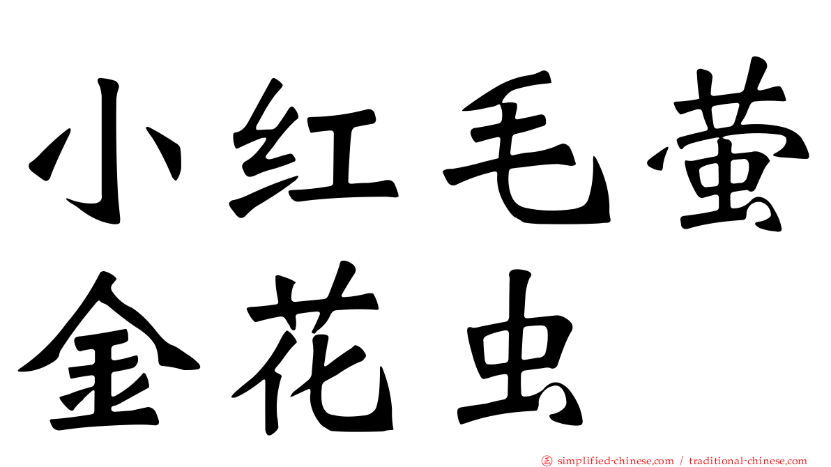 小红毛萤金花虫