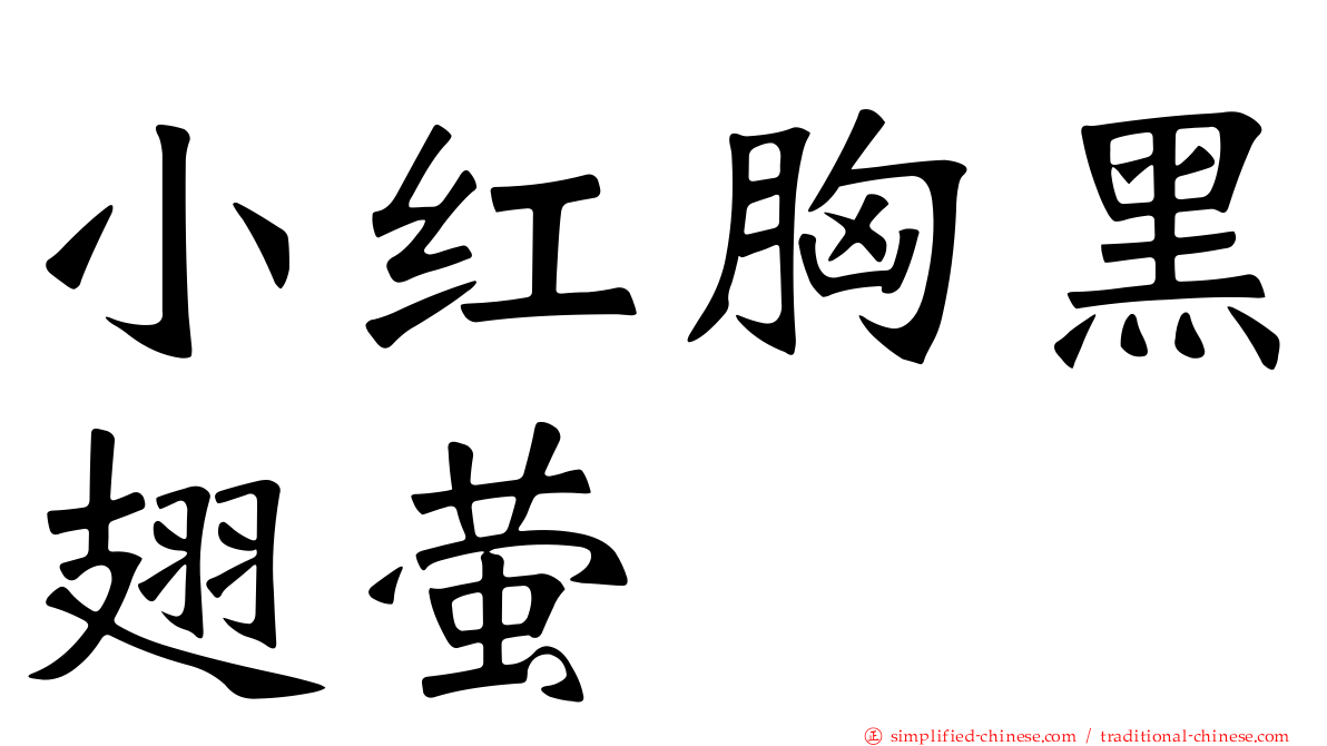 小红胸黑翅萤