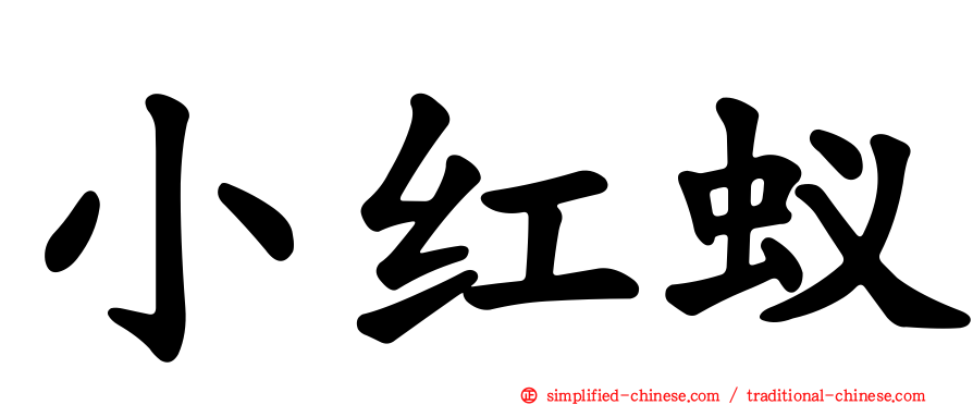 小红蚁