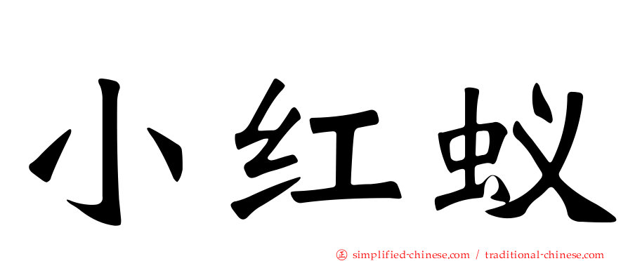 小红蚁