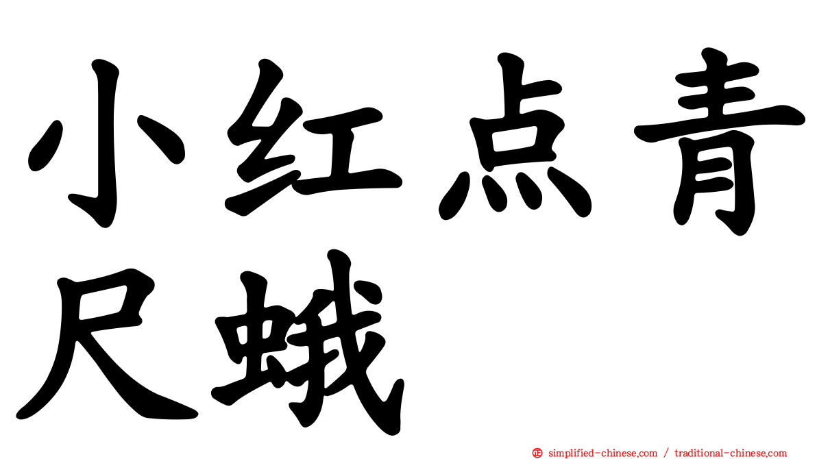 小红点青尺蛾