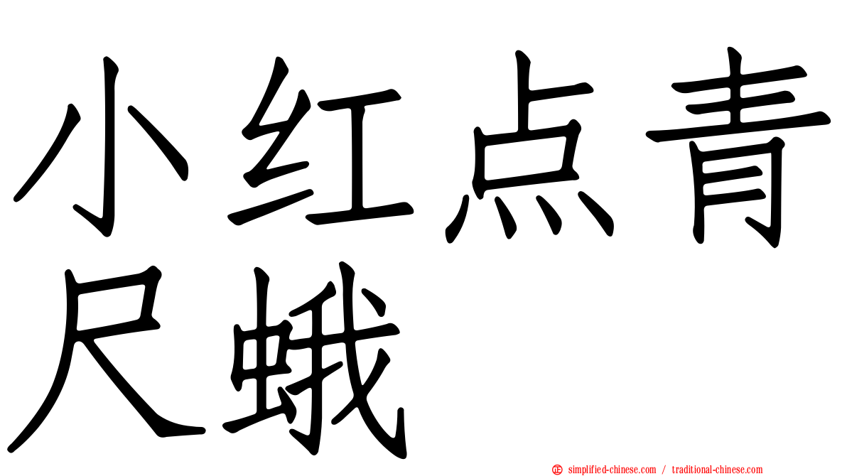 小红点青尺蛾