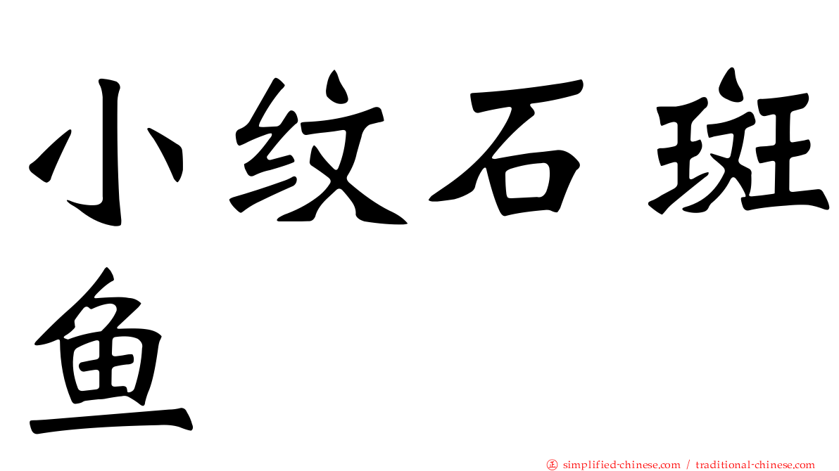 小纹石斑鱼